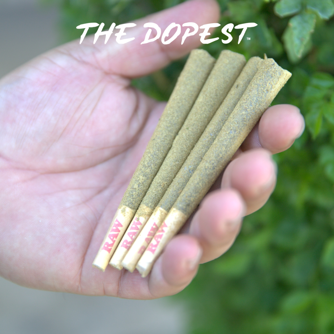 Flying with HHC: What you need to know | The Dopest