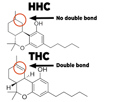 HHC vs THC