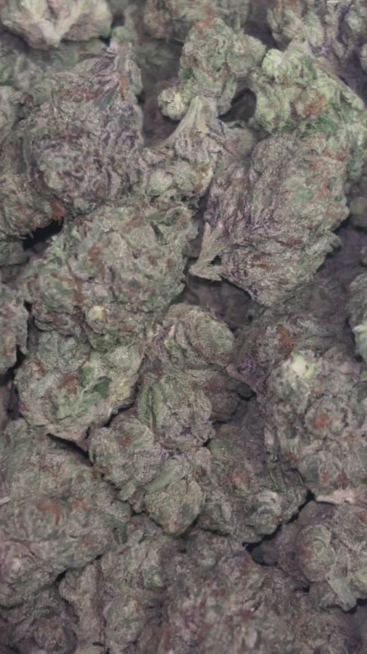 Premium Watermelon Z Indica Flower | The Dopest
