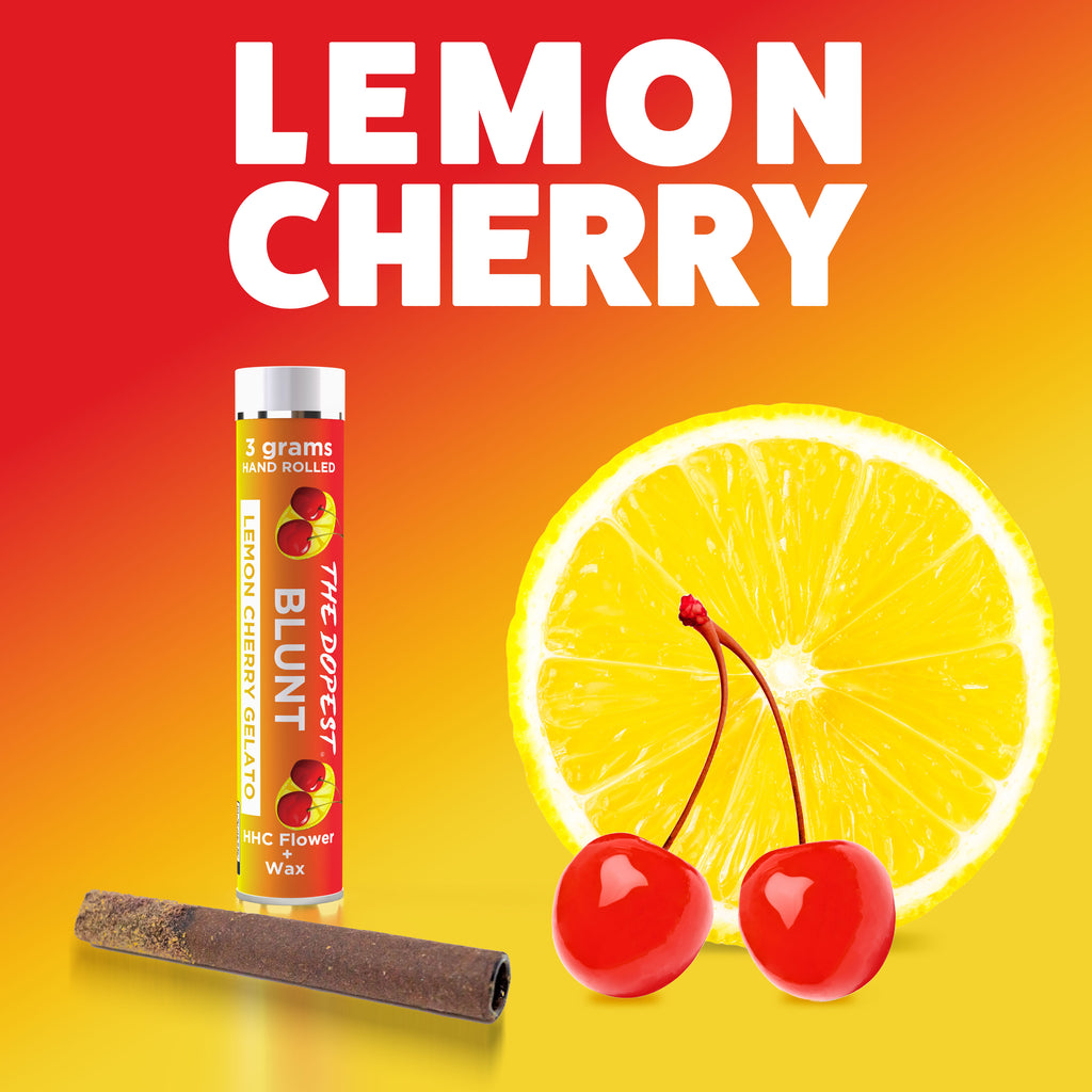 Lemon Cherry Gelato Concentrate BLUNT: 3 grams each HHC + Wax