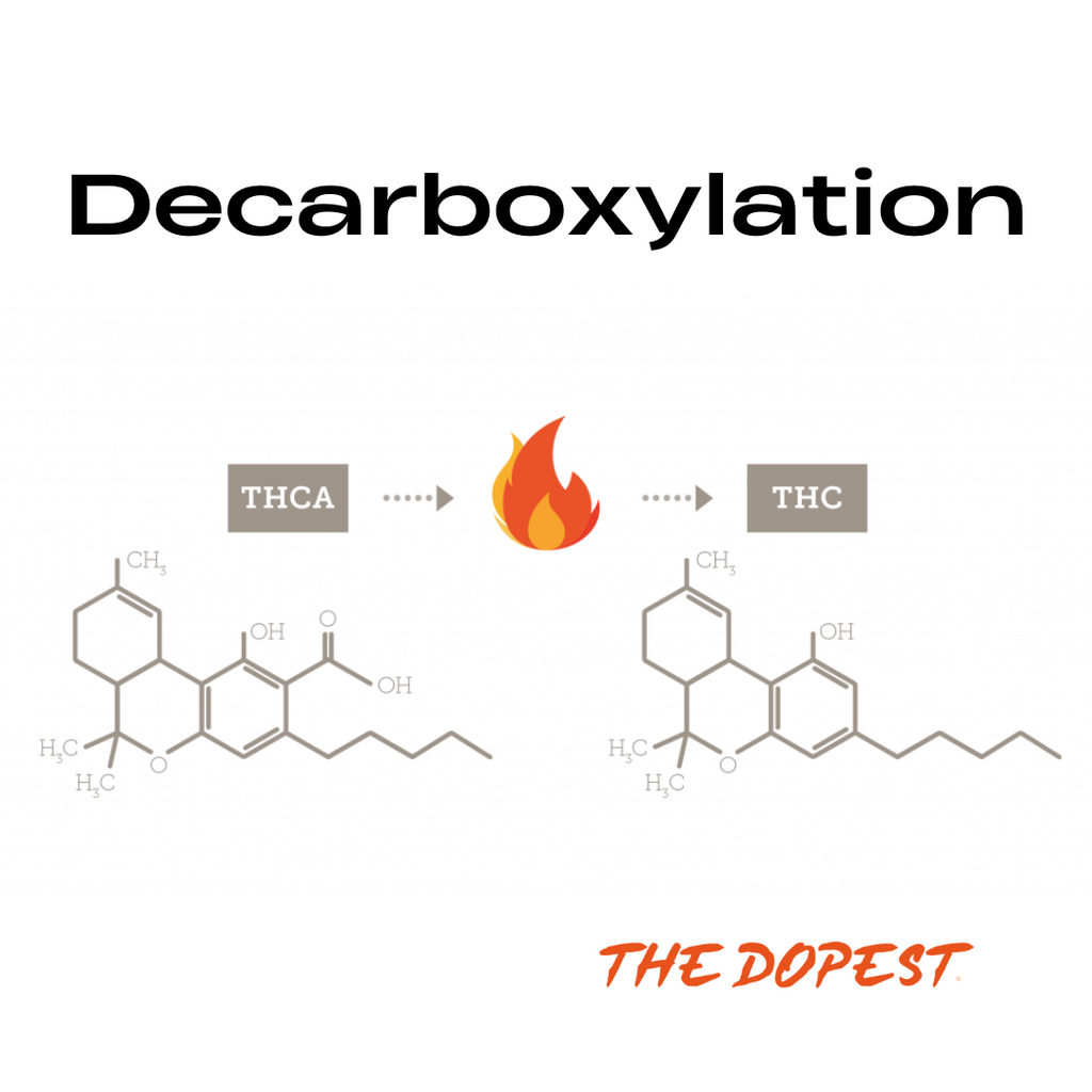 decarboxylation 