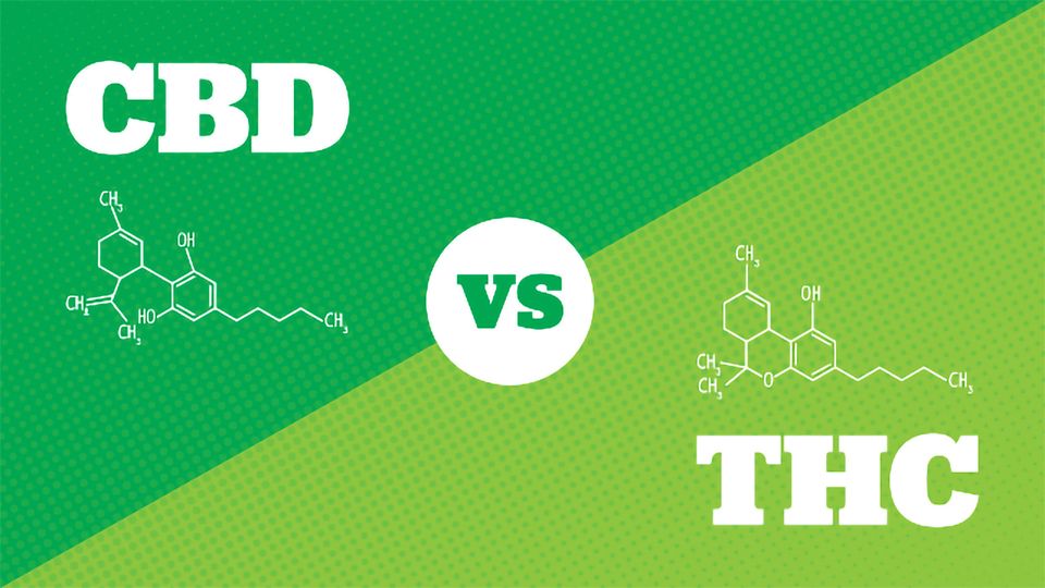 THC vs CBD.  What's the difference?