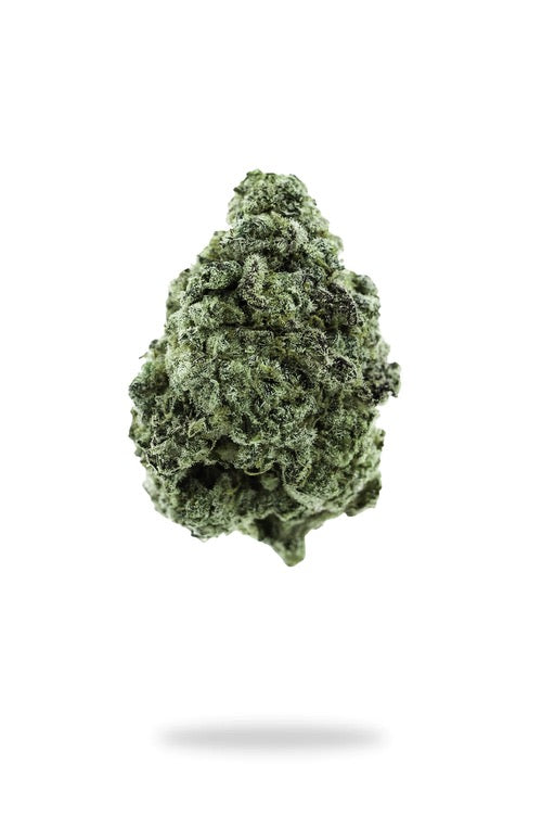 Premium Wedding Cake Indica Flower