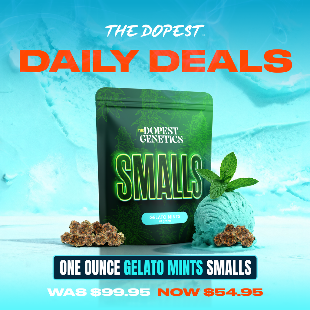 Smalls: Mystery Pack flower 28 grams Daily Deal
