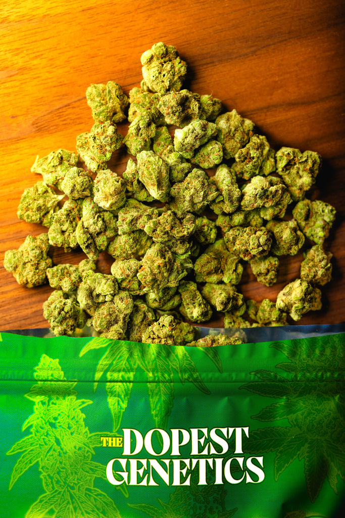 BLACK FRIDAY EXCLUSIVE STRAIN: Smalls: SMOREZ Indica flower 28 grams