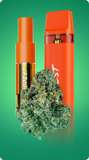 DAILY DEALS