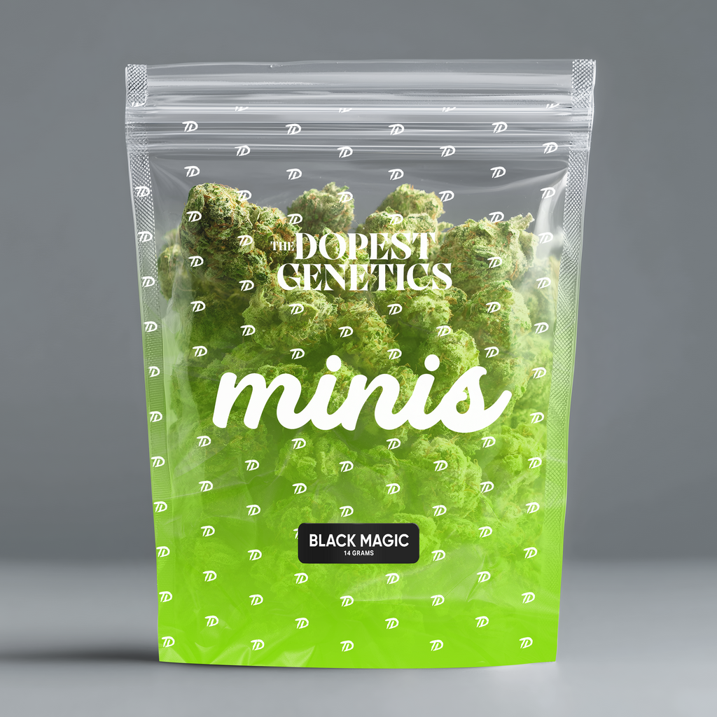 MINIS Black Magic Indica Flower