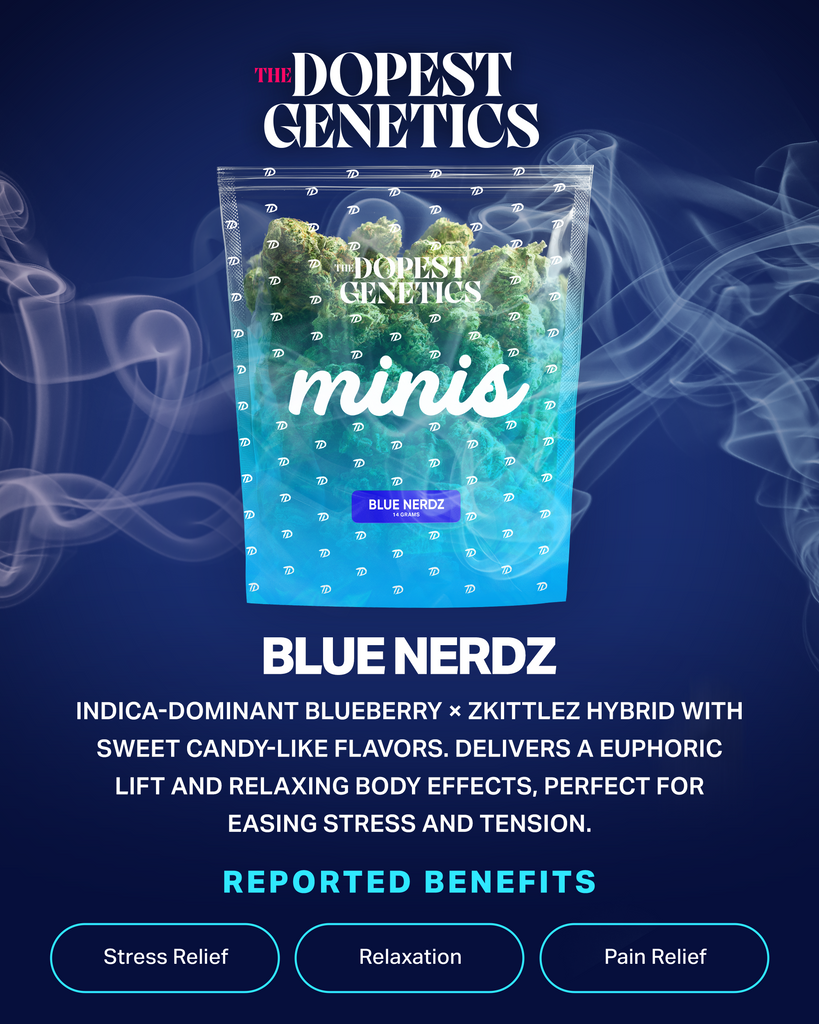 MINIS Blue Nerdz Hybrid Flower 14 grams | The Dopest MINIS Blue Nerdz Hybrid Flower 14 grams | The Dopest
