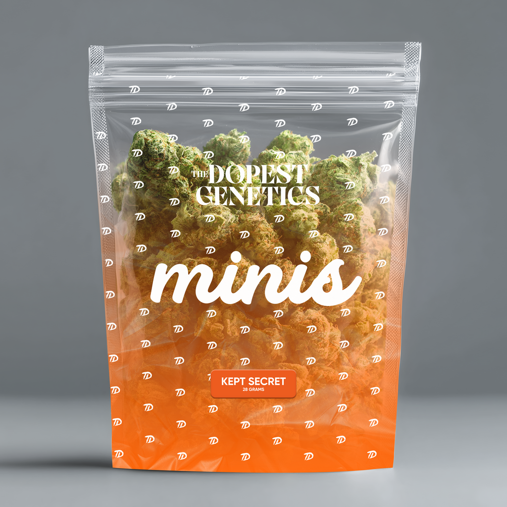 MINIS Kept Secret Sativa Flower