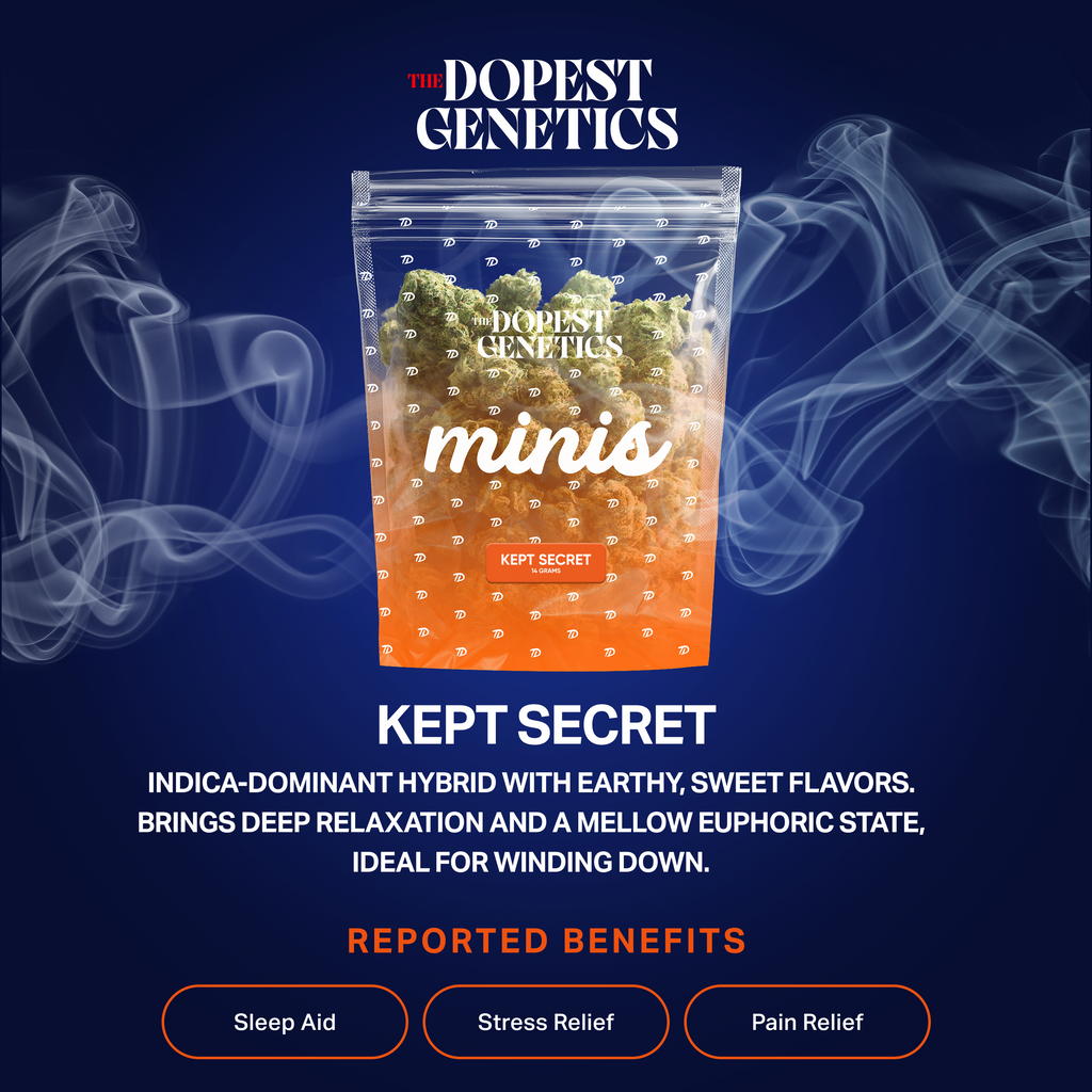 MINIS Kept Secret Sativa Flower