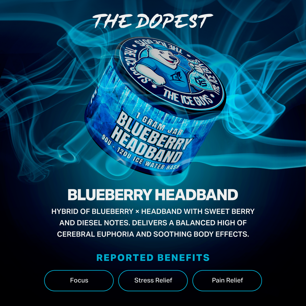 The Dopest Water Hash Blueberry Headband
