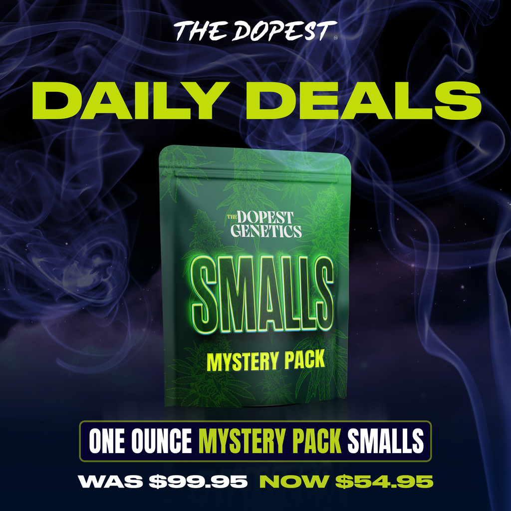 Smalls: Mystery Pack flower 28 grams Daily Deal