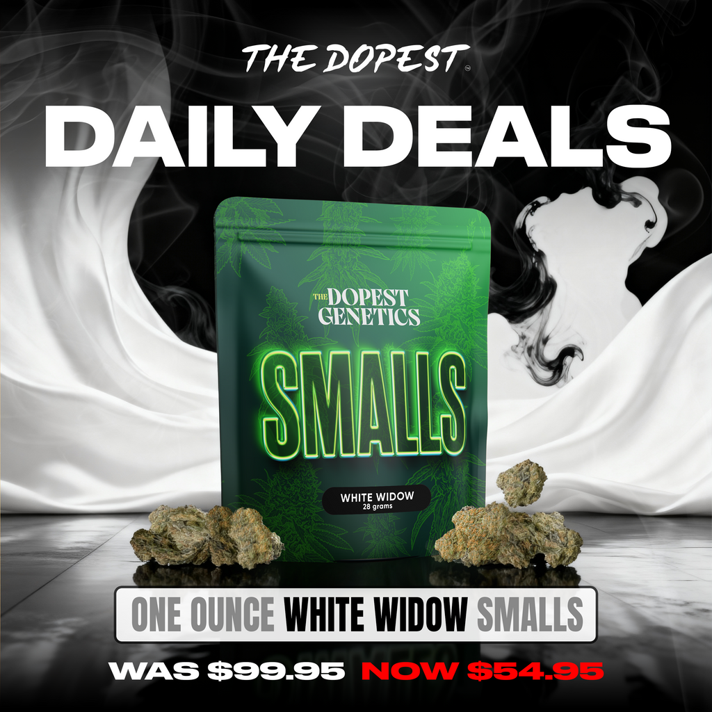 Smalls: Mystery Pack flower 28 grams Daily Deal