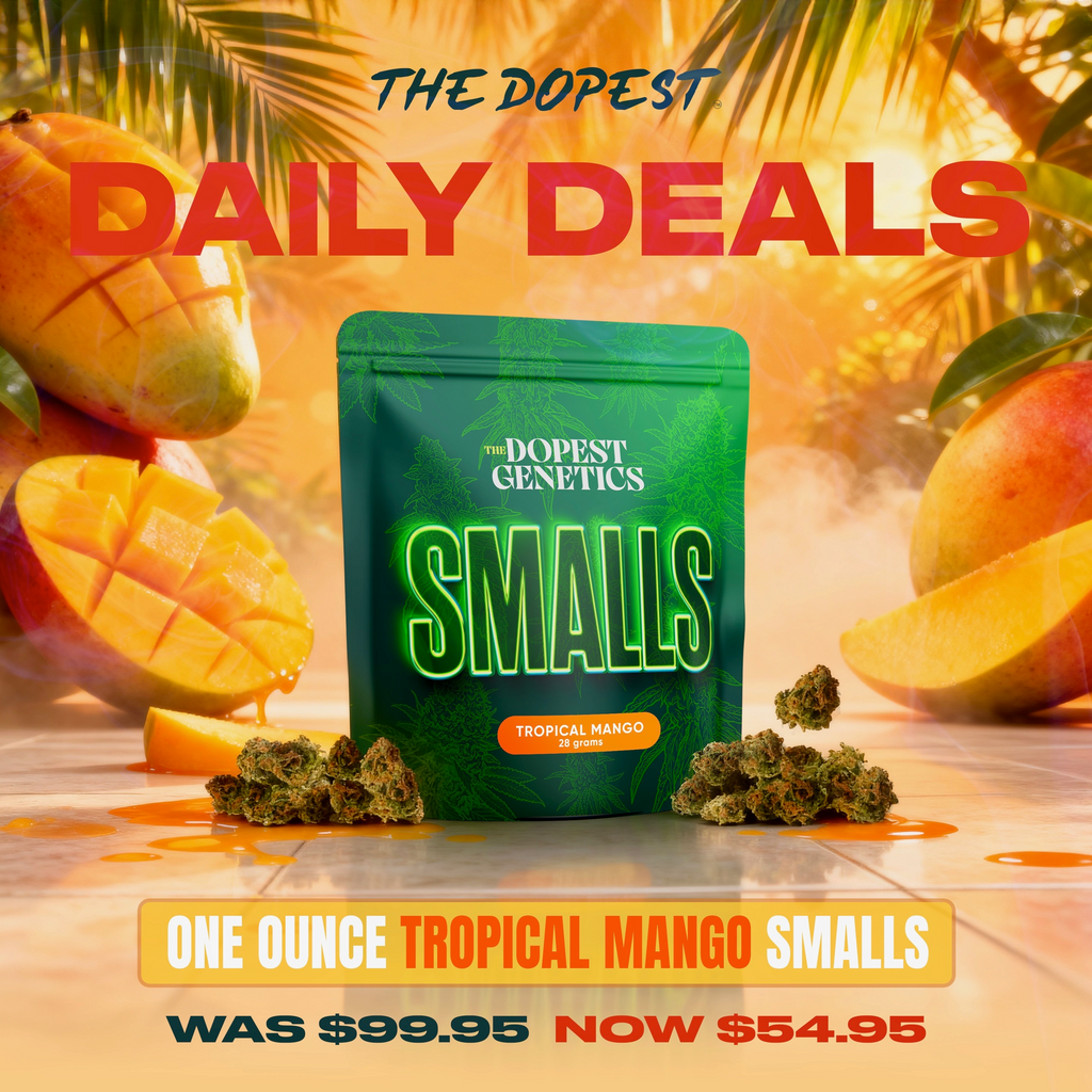 Smalls: Mystery Pack flower 28 grams Daily Deal
