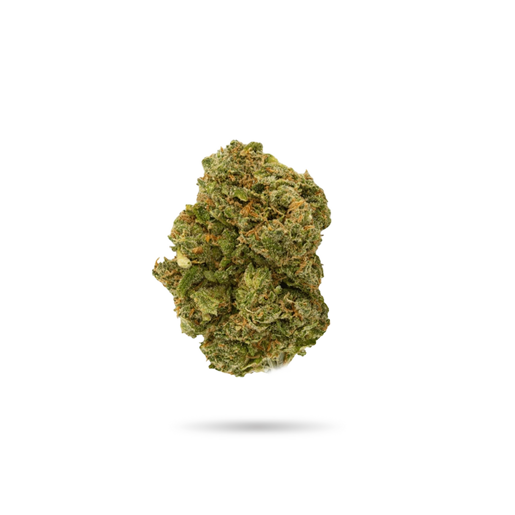 Indoor Stuffed Cherry Gelato Hybrid Flower