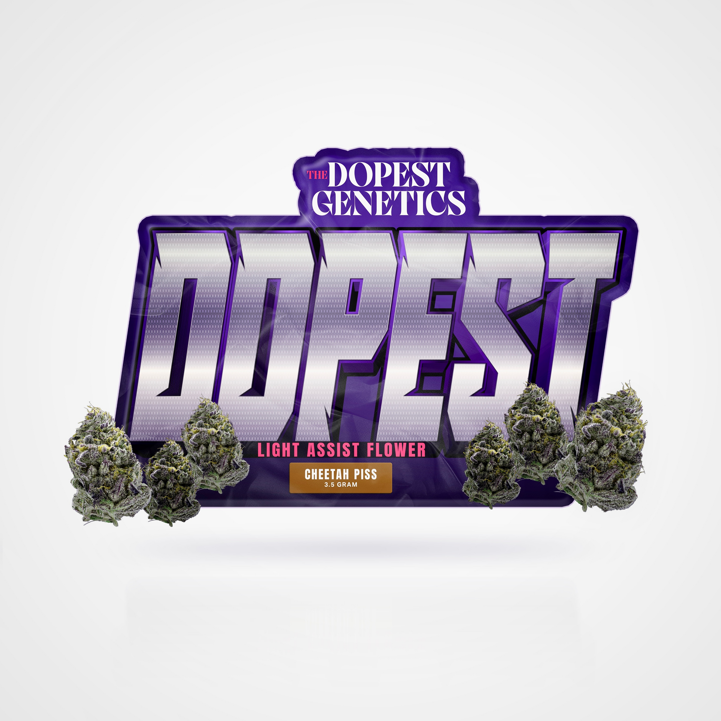 IMG_4483cheetahrender_2400x.