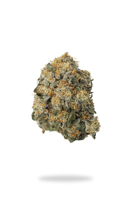 Premium Jet Fuel Runtz Hybrid Flower