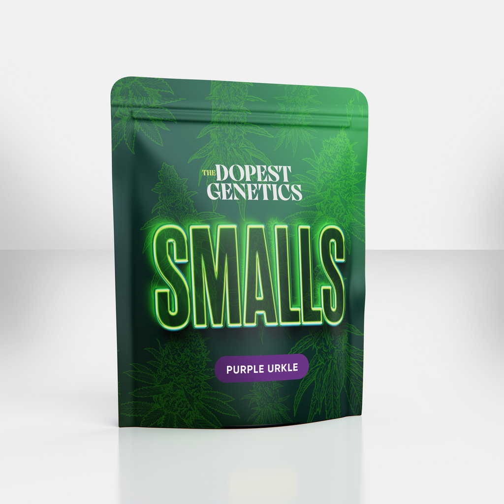 Premium Pastry Punch Indica Flower The Dopest premium-pastry-punch-indica-flower-the-dopest