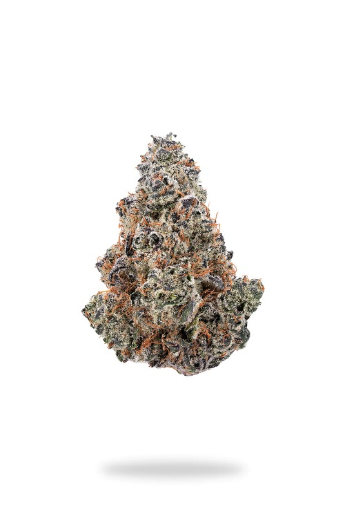 Premium GrapeLATO Hybrid Flower