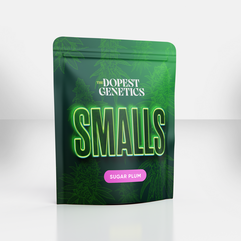 SMALLS INDOOR 2-PACK: 1/2 OZ TOTAL: SWEET TARTS & SUGAR PLUM