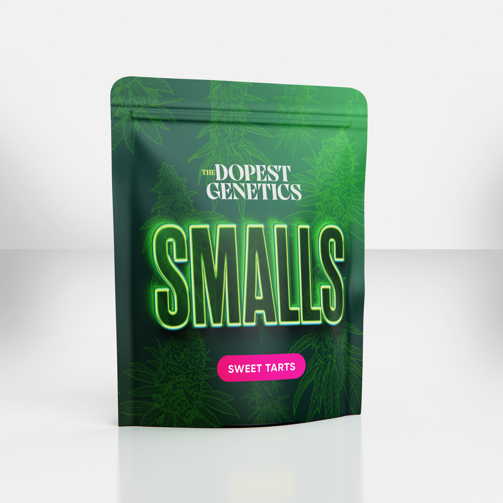 SMALLS INDOOR 2-PACK: 1/2 OZ TOTAL: SWEET TARTS & SUGAR PLUM