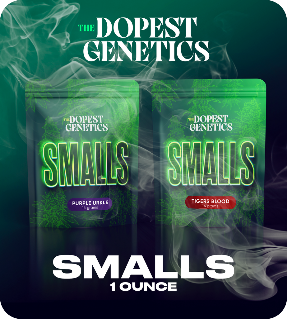 2-PACK SMALLS: Purple Urkle & Tigers Blood One ounce