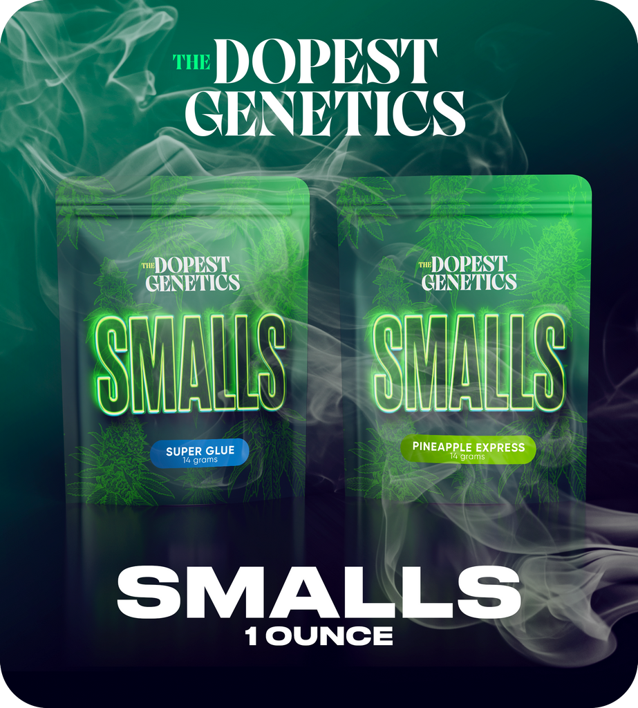 2-PACK SMALLS: Pineapple Express & Super Glue: one full ounce