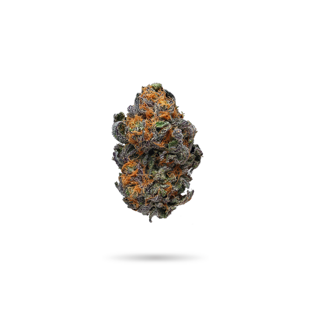 Indoor Sherblato Indica Flower